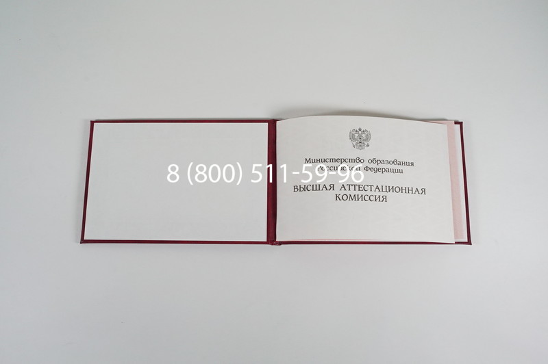 Диплом доктора наук 1995-2006 года в Брянске Диплом доктора наук 1995-2006 года в Брянске