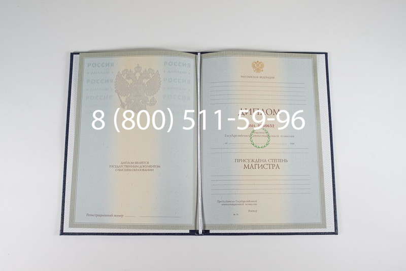 Диплом магистра 2003-2009 годов в Брянске