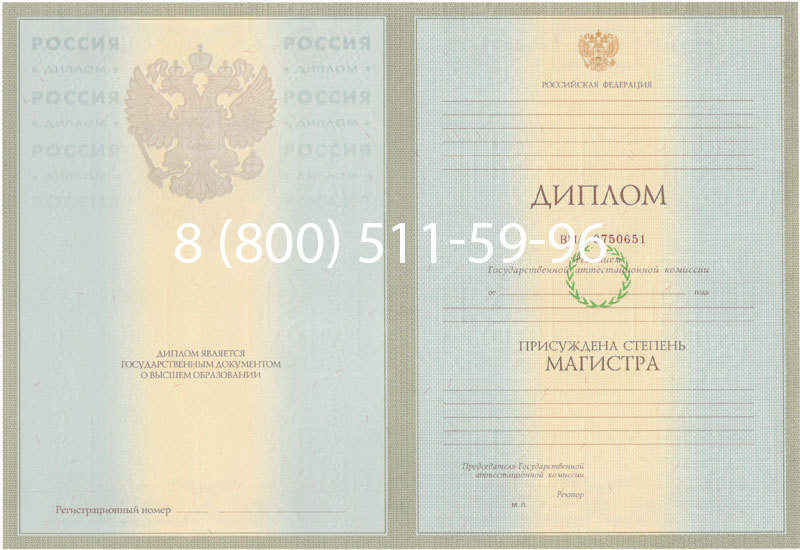Купить Диплом магистра 2003-2009 годов в Брянске
