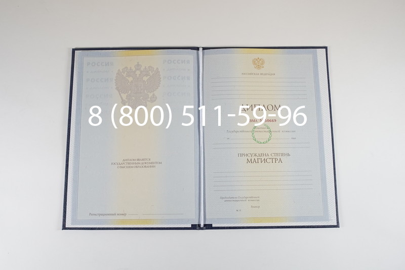 Диплом магистра 2010-2011 годов в Брянске Диплом магистра 2010-2011 годов в Брянске