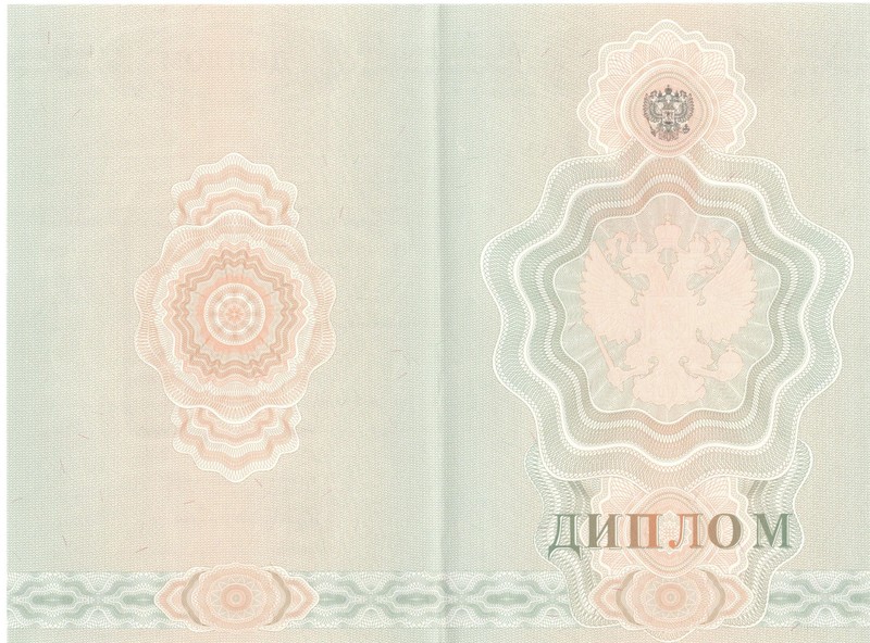 Купить Диплом о начальном образовании 2007-2009 годов в Брянске Купить Диплом о начальном образовании 2007-2009 годов в Брянске
