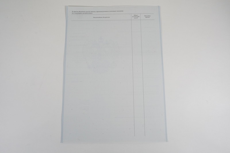 Диплом о начальном образовании 2007-2009 годов в Брянске Диплом о начальном образовании 2007-2009 годов в Брянске