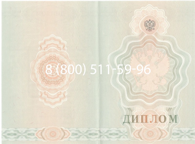Купить Диплом ПТУ 2007-2010 годов в Брянске