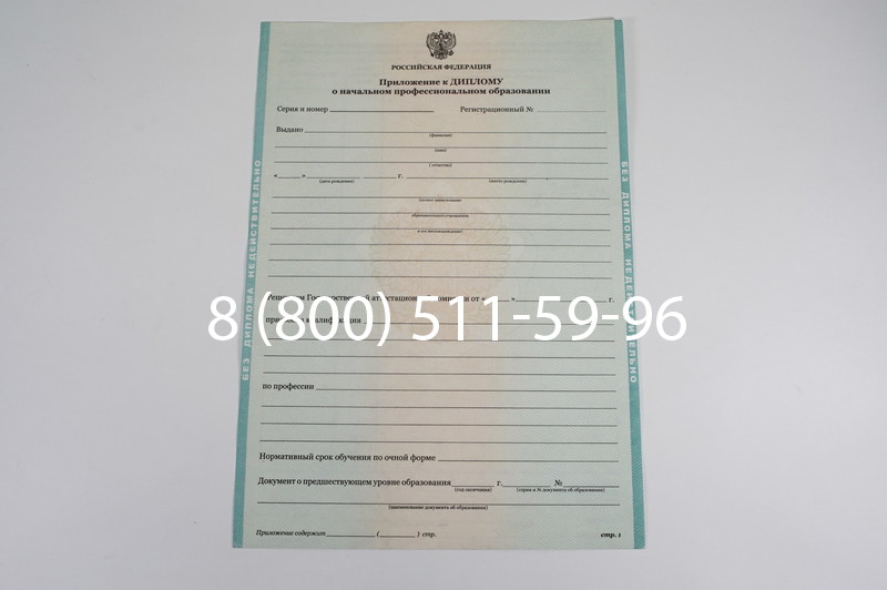 Диплом ПТУ 2014-2024 года в Брянске Диплом ПТУ 2014-2024 года в Брянске