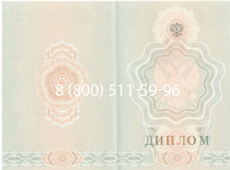 Купить Диплом училища 2007-2009 годов в Брянске